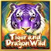 Tiger and Dragon Wild